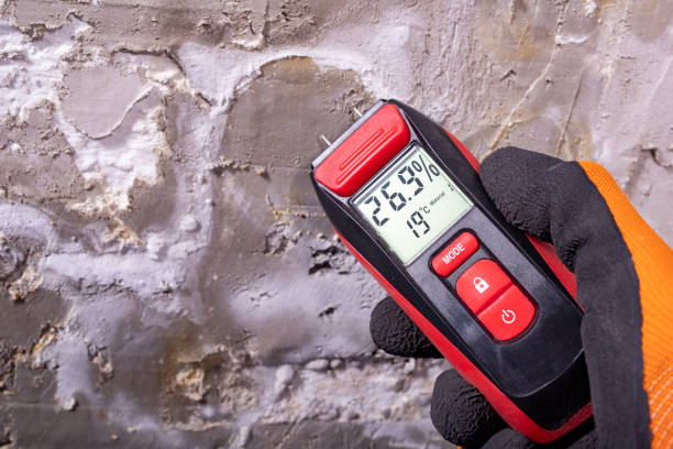 Best Water Damage Restoration  in Pine Nyon, CA