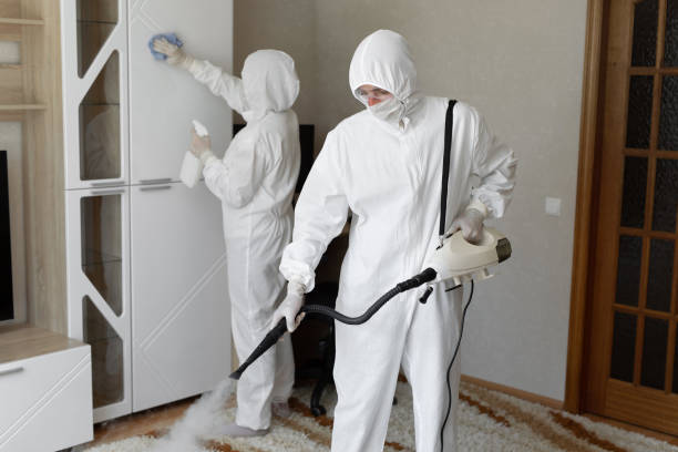 Best Certified Mold Removal  in Pine Nyon, CA
