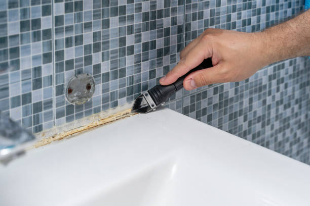 Best Fast Mold Removal  in Pine Nyon, CA