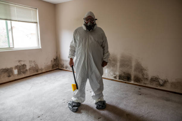 Best Commercial Mold Removal  in Pine Nyon, CA